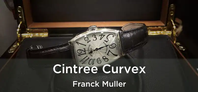  Cintree Curvex Franck Muller